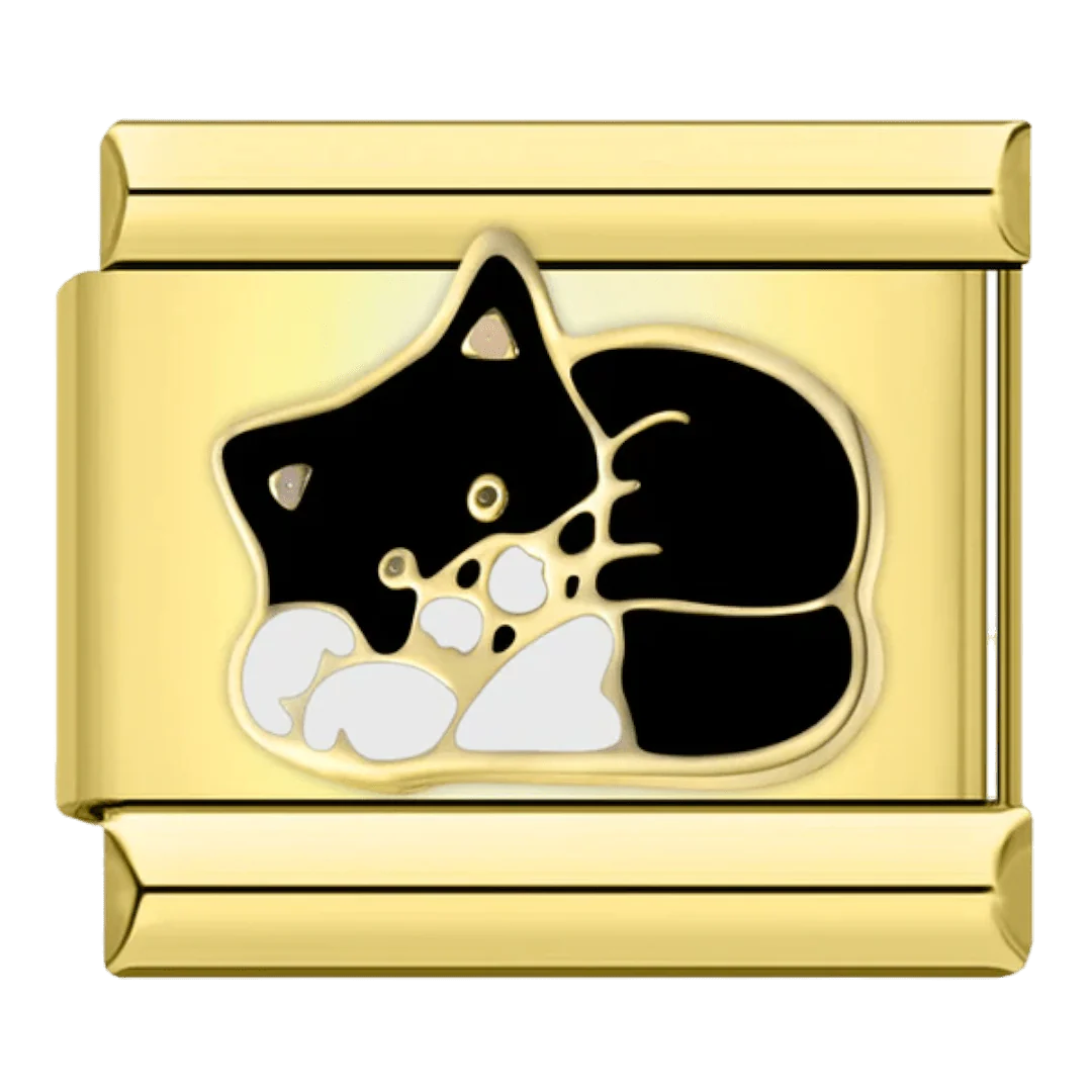 Cat - Image 2