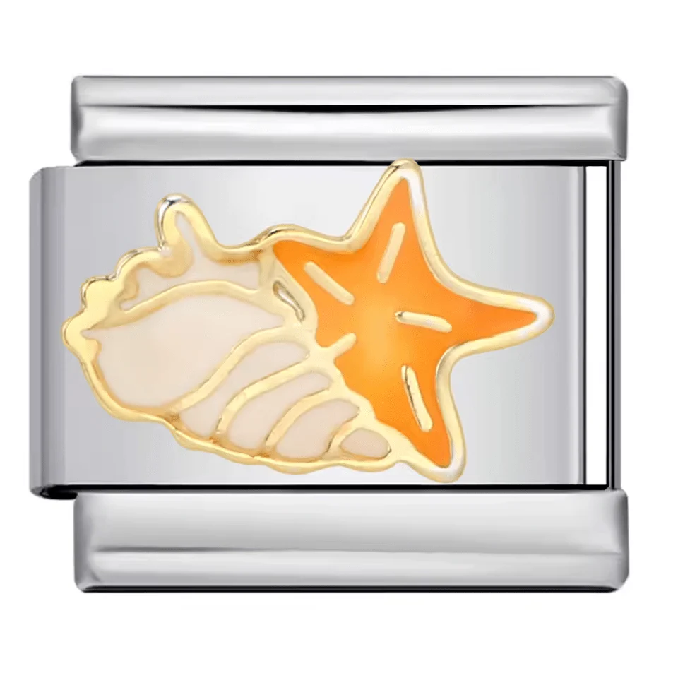 Starfish & Shell
