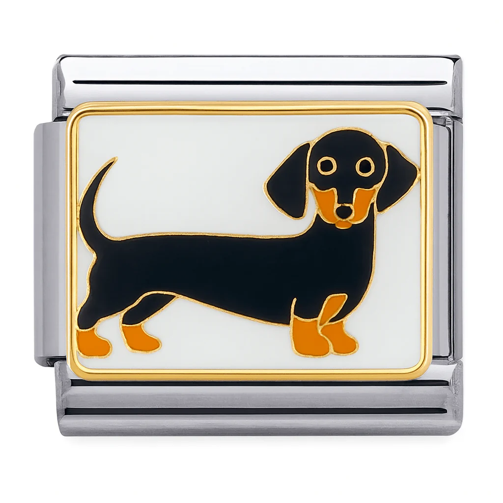 Weiner Dog